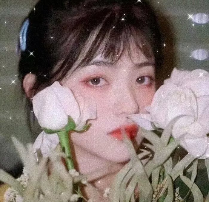 恋爱无法用双子除尽